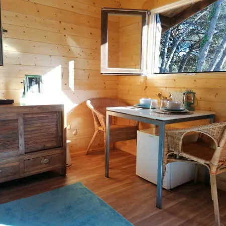 Кемпинг Wood Houses In *